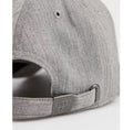 Superdry Embroidered Grey Cap